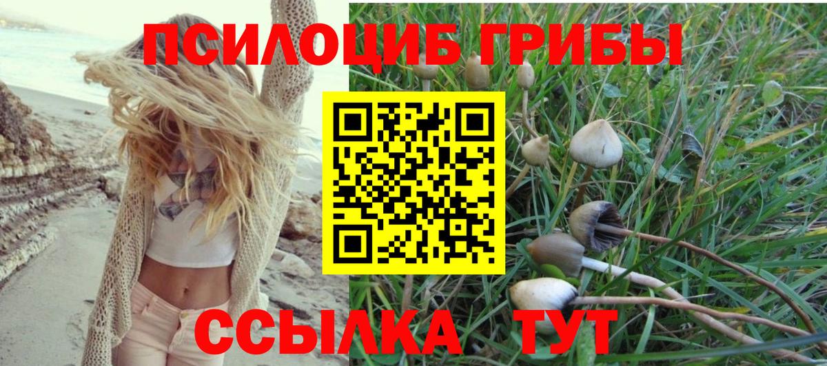 Галлюциногенные грибы Magic Shrooms  Вход с VPN  Псилоцибиновые грибы Psilocybe  Чебаркуль 