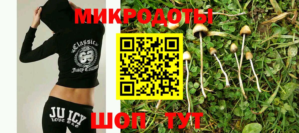 Галлюциногенные грибы Psilocybe Чебаркуль